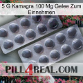5Gm Kamagra 100Mg Oral Jelly 31